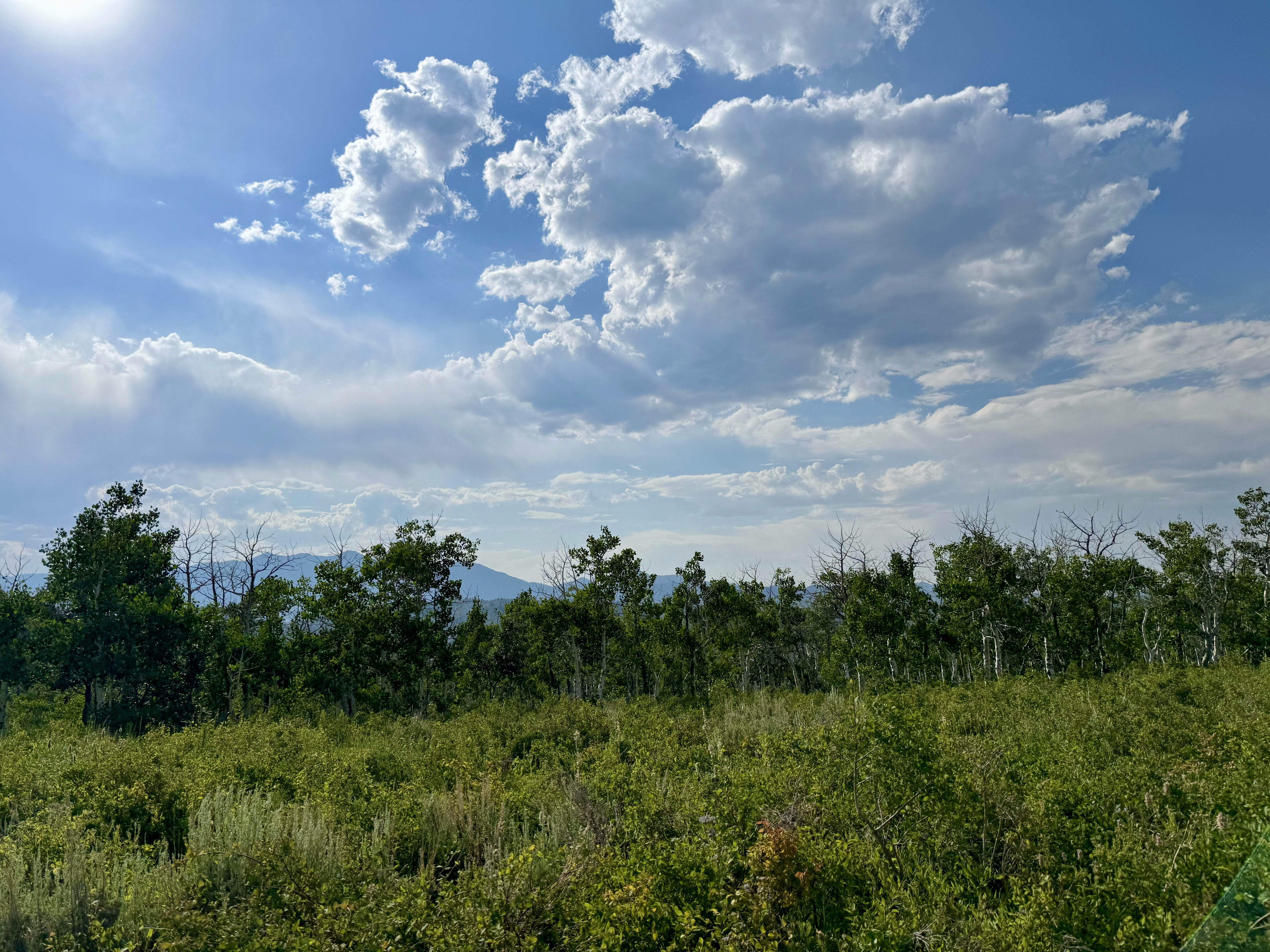 Big Horn Ranch Association — mountain landscape near Fairview, Utah in Sanpete County
